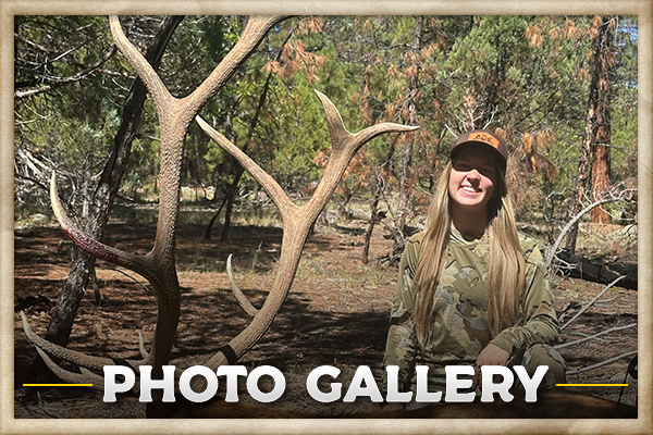 Photo Gallery Photo Gallery