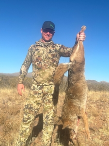 Az Coyote